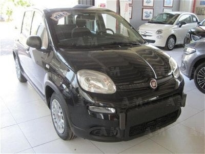 Usato 2023 Fiat Panda 1.0 El 71 CV (14.500 €)