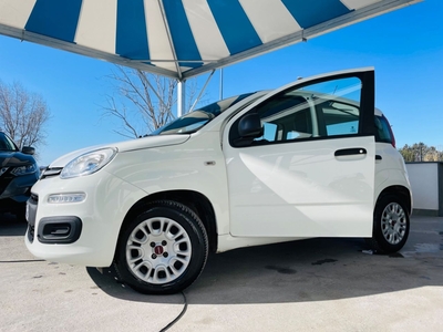 Fiat Panda 1.2 EasyPower Easy