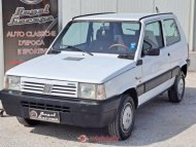 Fiat panda super 1.0 i.e. cat giannini -uni pro-93