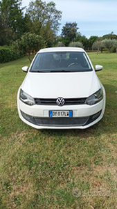 Polo neopatentati