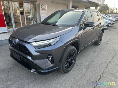 Toyota RAV4 2.5 vvt-ie h Style 2wd 218 CV e-cvt