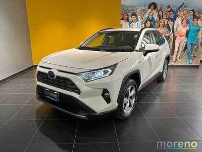 Toyota RAV4 2.5 vvt-ie hybrid Lounge 2WD e-cvt