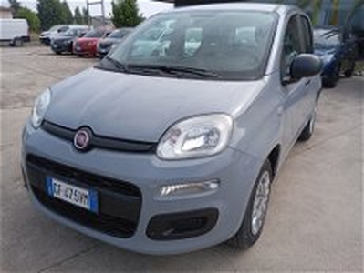 Fiat Panda 1.2 GPL Pop Van 2 posti del 2021 usata a Ferrara
