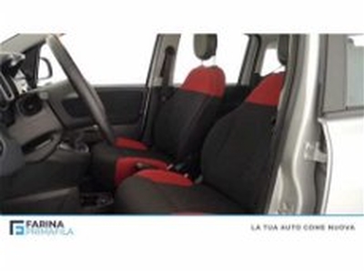 Fiat Panda 1.3 MJT 95 CV S&S Easy del 2017 usata a Pozzuoli