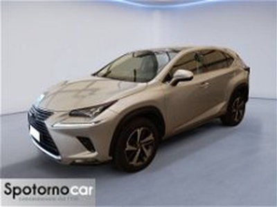 Lexus NX Hybrid 4WD Luxury del 2018 usata a Sesto San Giovanni