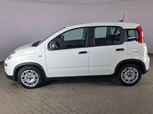 Fiat Panda Ibrida Usata