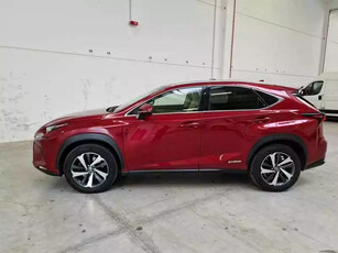 Lexus Nx 300h Ibrida Usata