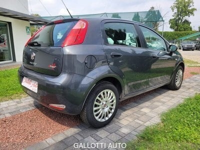 Usato 2015 Fiat Punto 1.2 Benzin 69 CV (5.990 €)