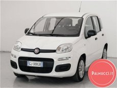 Fiat Panda 1.0 FireFly S&S Hybrid City Cross del 2022 usata a Prato