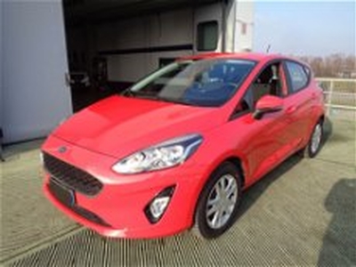 Ford Fiesta 1.1 75 CV GPL 5 porte Plus del 2019 usata a Montebelluna