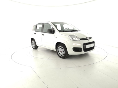 Fiat Panda 1.2 EasyPower Easy my 12 usato