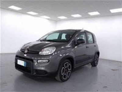 Fiat Panda 1.0 firefly hybrid s&s 70cv 5p.ti del 2022 usata a Cuneo