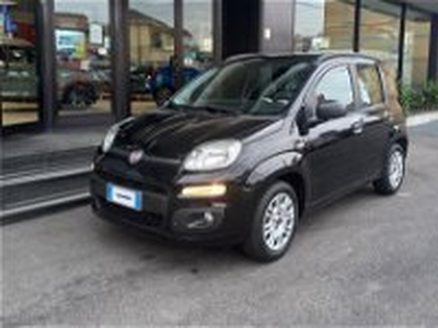 Fiat Panda 1.2 Easy del 2014 usata a San Vittore Olona