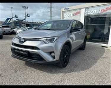 Toyota RAV4 Hybrid 2WD Dynamic my 18 del 2019 usata a Pisa