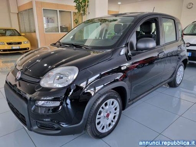 Fiat Panda 1.0 FireFly S&S Hybrid 5 posti*Ruotino Trento