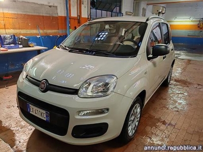 Fiat Panda 1.2 Easy 5 Porte Euro 6 Torino