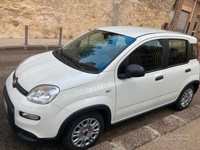 FIAT PANDA FIREFLY S&S 1000 HYBRID