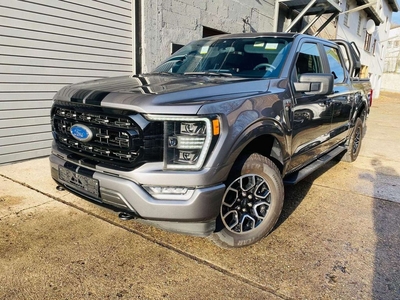 Ford F-150 4x4 295 kW