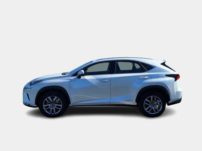 Lexus Nx 300h Ibrida Usata