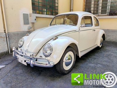 VOLKSWAGEN Maggiolino Nasino 11/113 Usata