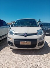 Fiat Panda 1.2 Pop usato