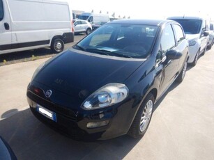 FIAT Punto 1.2 8V 5 porte Street OK NEOPATENTATI SOLO 21000KM Benzina