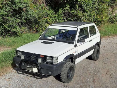 Usato 1988 Fiat Panda 4x4 1.0 Benzin 50 CV (7.200 €)