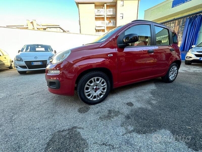 Usato 2013 Fiat Panda 1.2 LPG_Hybrid 69 CV (4.000 €)