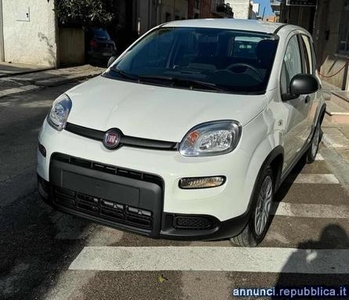 Fiat Panda 1.0 FireFly S&S Hybrid Mesagne