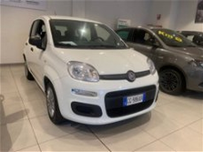 Fiat Panda 1.0 FireFly S&S Hybrid City Cross del 2021 usata a Torino