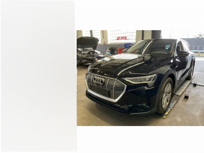 AUDI E-tron 55 Q Led Luft Kamera Pano Navi