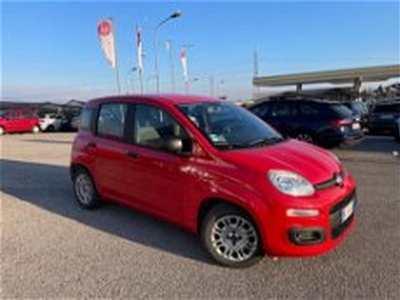 Fiat Panda 1.0 FireFly S&S Hybrid Easy del 2022 usata a Maniago