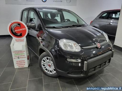 Fiat Panda 1.0 FireFly S&S Hybrid PANDA Aversa