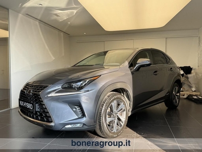 Lexus NX 300 300 2.5 Hybrid Luxury 4WD CVT