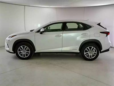 Lexus Nx 300h Ibrida Usata