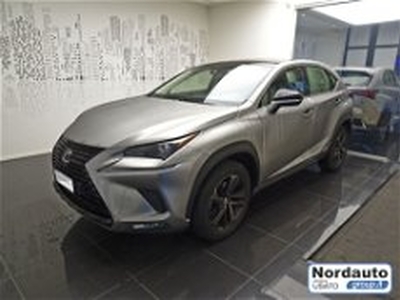 Lexus NX Hybrid 4WD Sport del 2019 usata a San Martino di Lupari