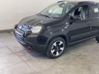 Fiat Panda 1.0 FireFly S&S Hybrid City Cross nuovo