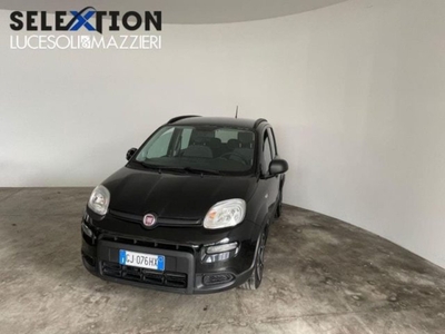 Fiat Panda 1.0 FireFly S&S Hybrid City Cross usato