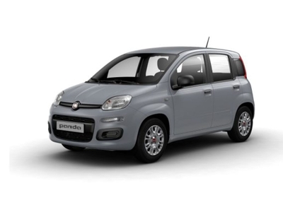 Fiat Panda 1.0 FireFly S&S Hybrid City Cross usato