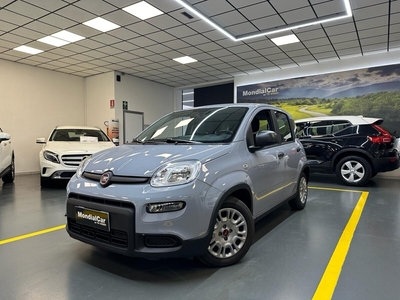 Fiat Panda 1.0 FireFly S&S Hybrid Easy usato