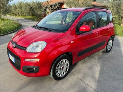 Fiat Panda 1.2 Lounge usato