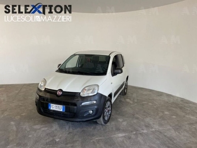 Fiat Panda 1.3 MJT 4x4 Pop Van 2 posti usato