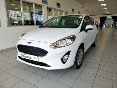 Ford Fiesta 1.1 75 CV GPL 5 porte usato