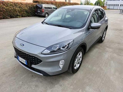 Ford Kuga 1.5 EcoBlue 120 CV aut. 2WD usato