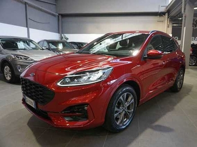 Ford Kuga 2.0 EcoBlue 190 CV aut. AWD ST-Line X usato