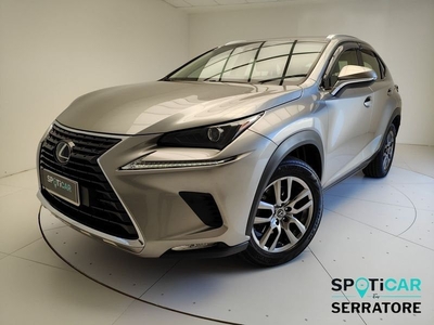 Lexus NX I 2018 300h 2.5 Luxury 4wd cvt