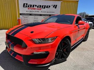 FORD MUSTANG *317CV*2.3 ECOBOOST*ALL SHELBY*ROUSH*