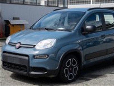 Fiat Panda 1.0 FireFly S&S Hybrid City Cross del 2022 usata a Cirie'