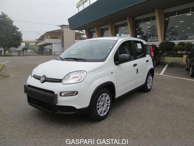 FIAT PANDA 1.0 FireFly S&S Hybrid KM 0 Autosalone Gaspari e Gastaldi S.r.l.