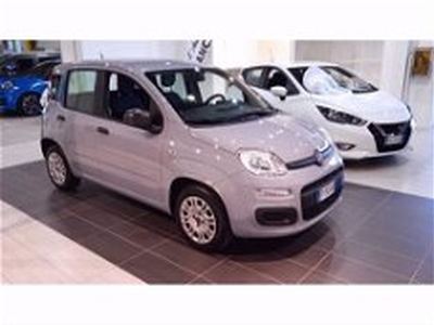 Fiat Panda 1.2 del 2019 usata a Trezzano sul Naviglio